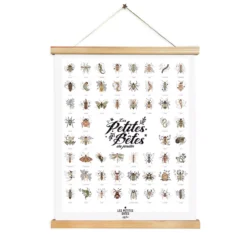 Affiche Les Petites Bêtes Du Jardin