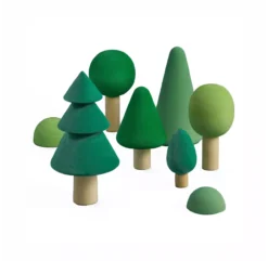 Set Arbres De La Forêt